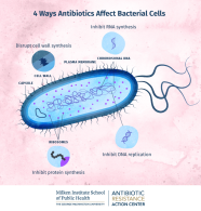 How Bacteria Build Resistance At The Cellular Level Online Public Health