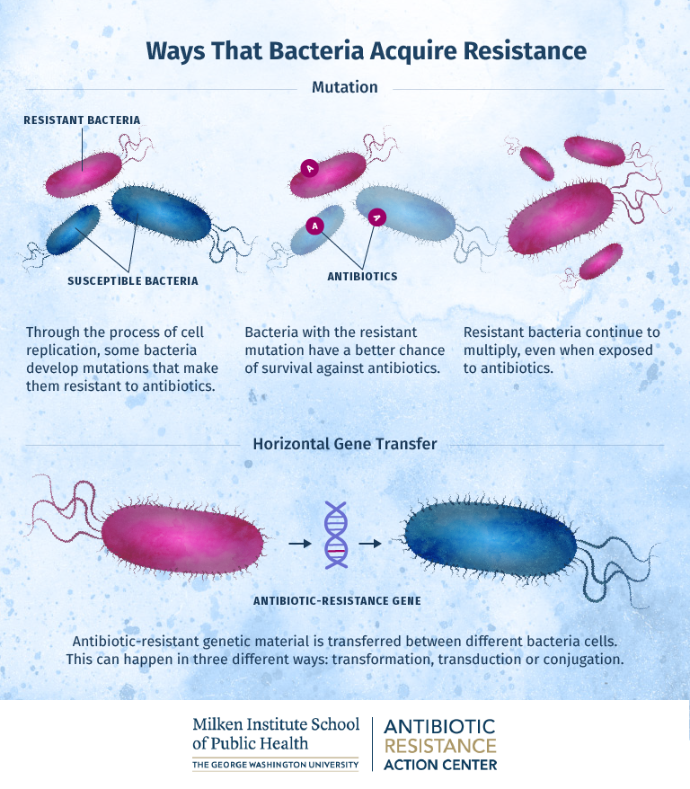 Graphic depicting the ways that bacteria acquire resistance, either through mutation or horizontal gene transfer